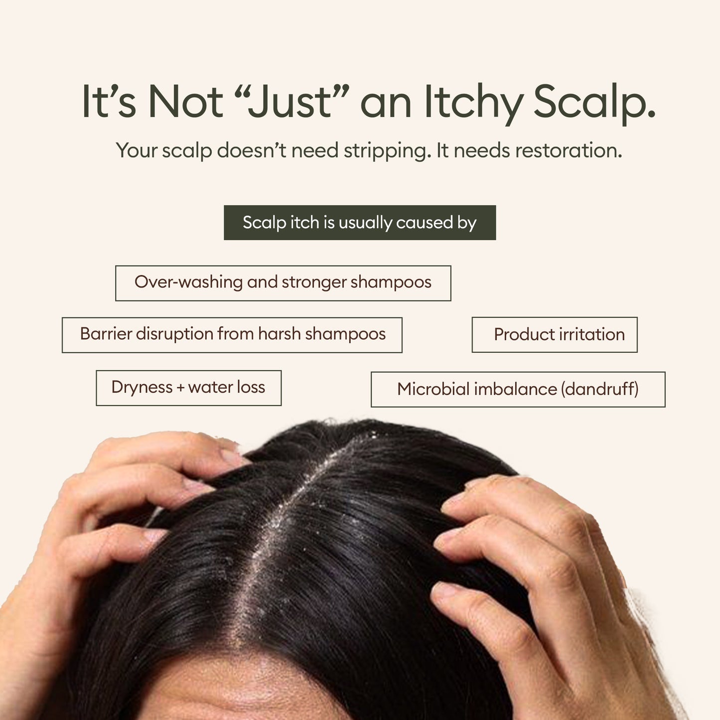 Anti-Itch Scalp Oil with Olive Squalene