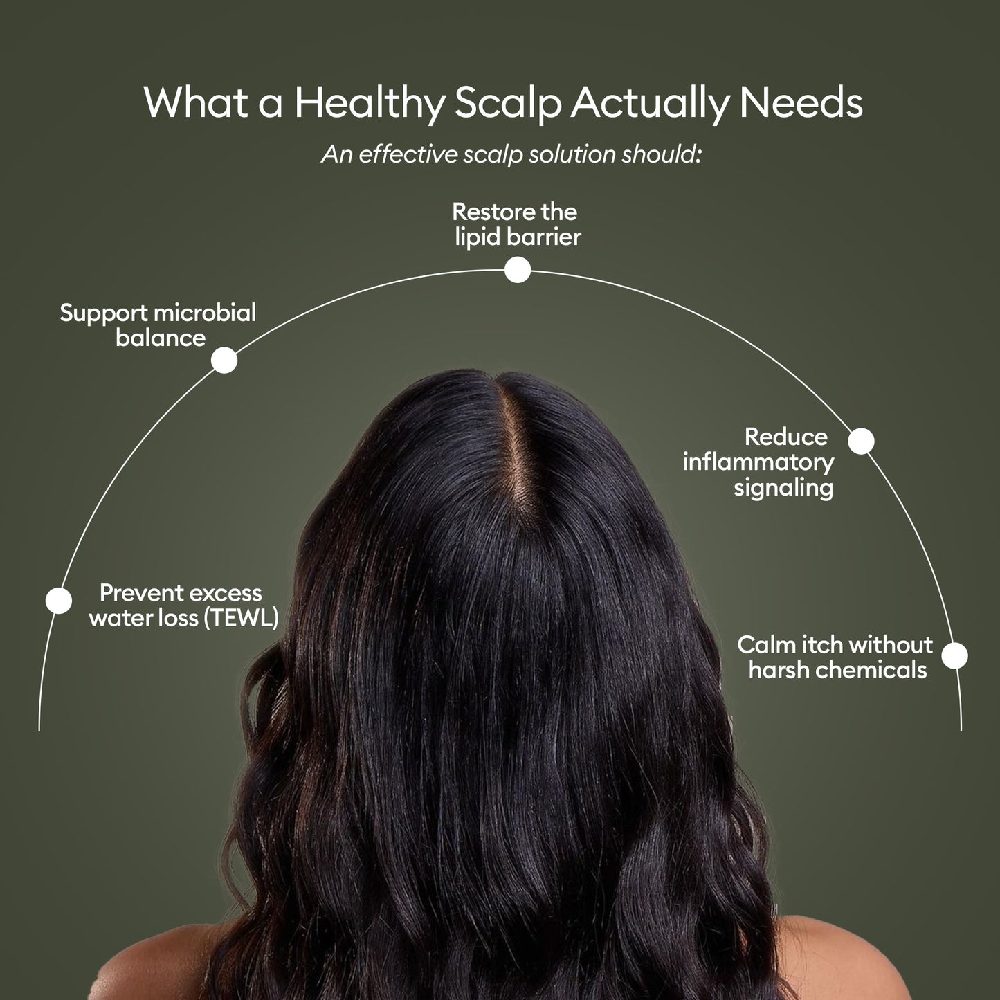Anti-Itch Scalp Oil with Olive Squalene